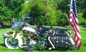 1971 Harley Davidson Custom Iron Horse2